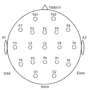 international 10 20 system